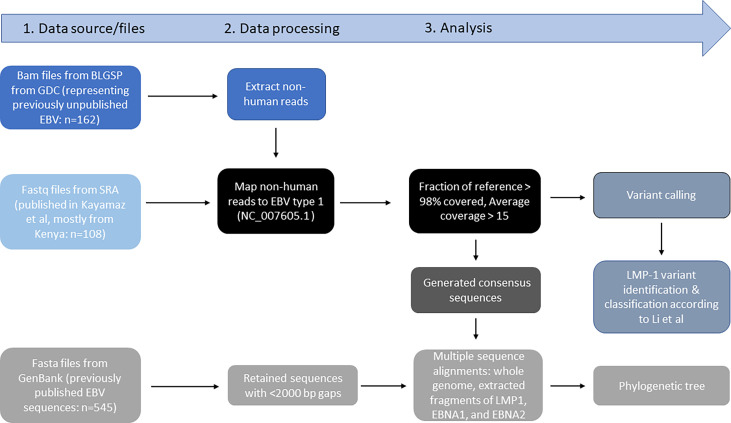 Figure 2