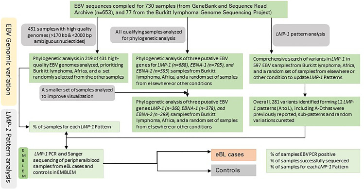 Figure 1