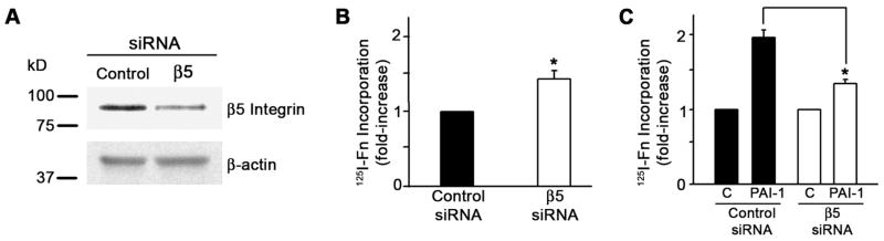 Fig. 11