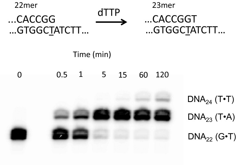 Fig. S4.