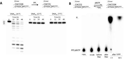 Fig. S5.