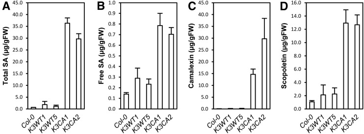 Figure 5.