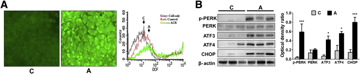 Figure 6