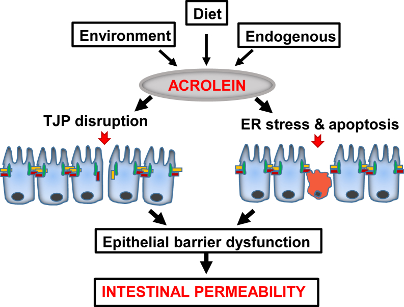 Figure 7