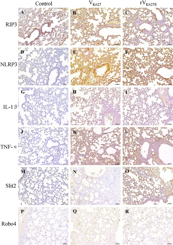 Fig. 4