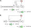 FIG 1