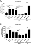 FIG 2