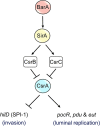 FIG 8