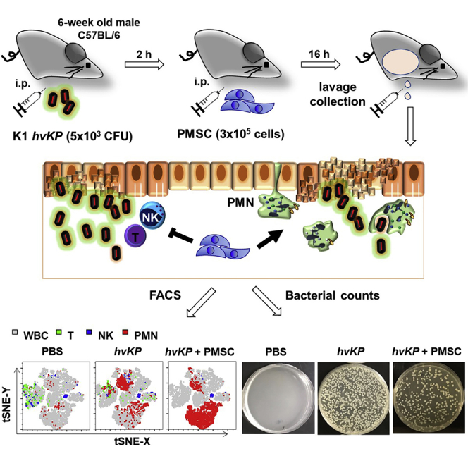 graphic file with name fx1.jpg