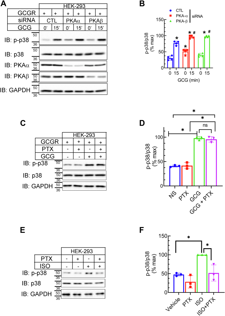 Figure 5