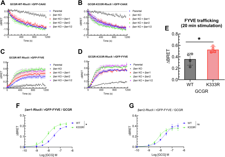 Figure 6
