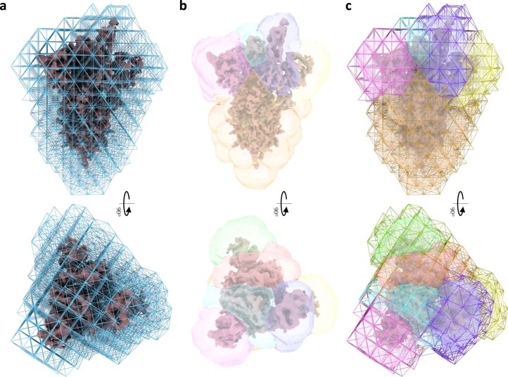 Extended Data Fig. 1