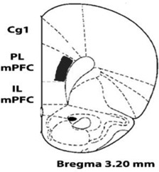 graphic file with name nihms681075t1.jpg