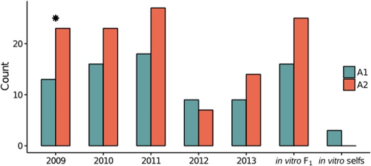 FIGURE 1