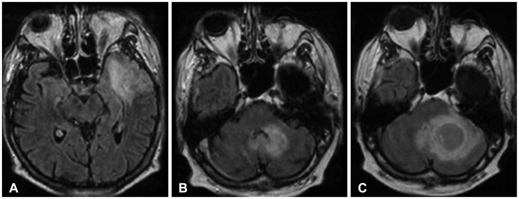 Fig. 5