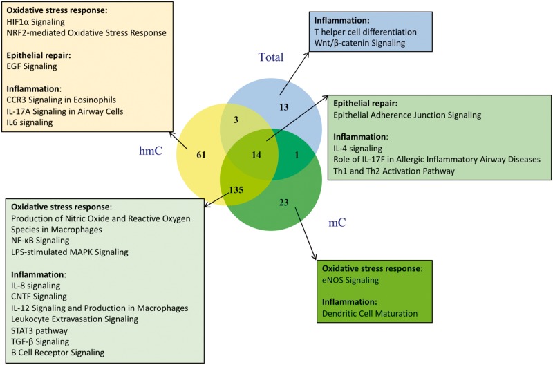 Fig. 4: