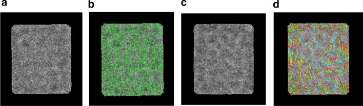 Fig. 12