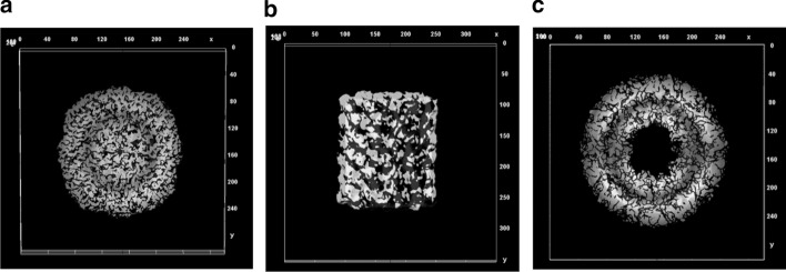 Fig. 16