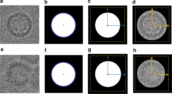 Fig. 8