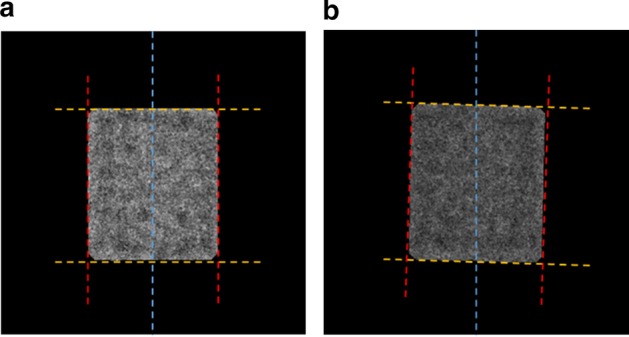 Fig. 10