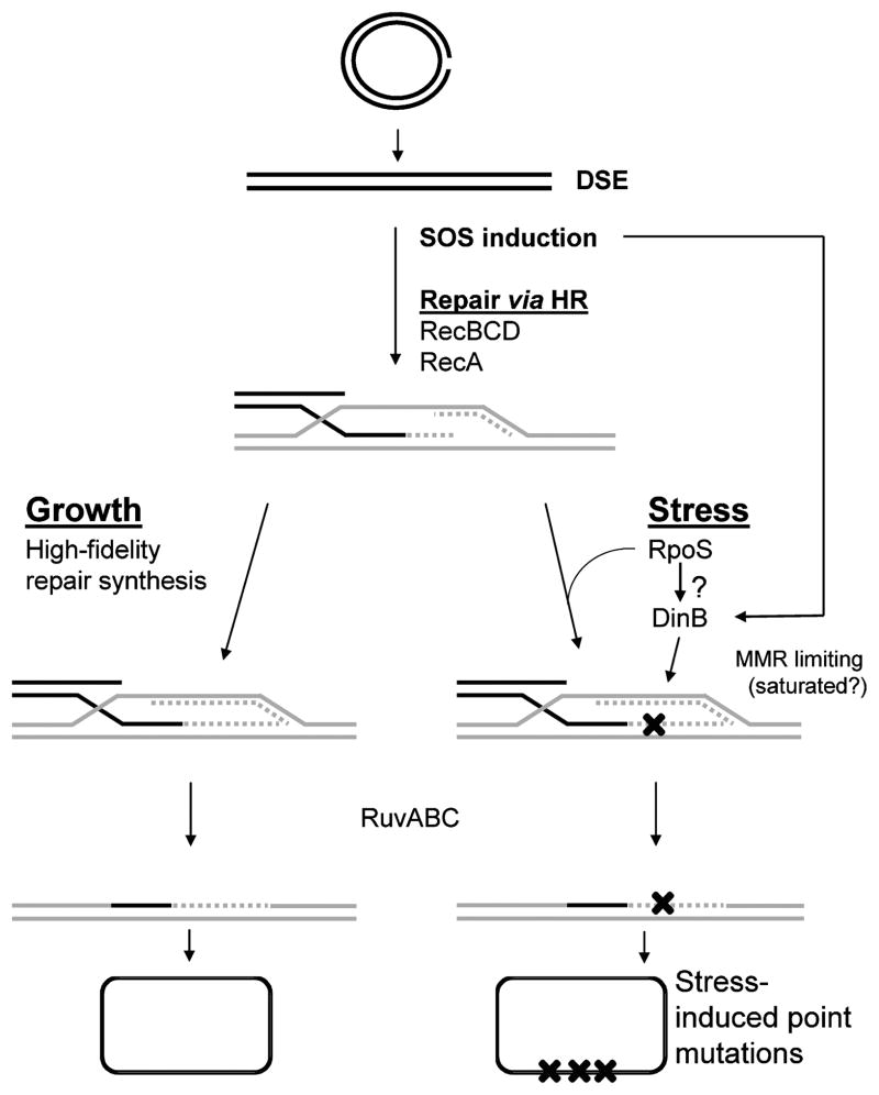 FIGURE 3