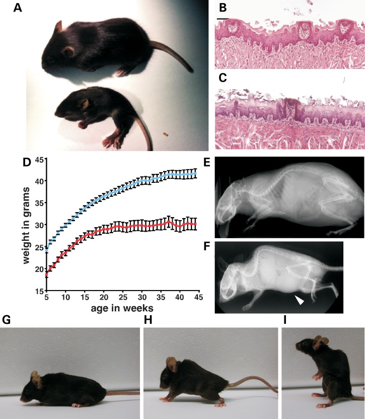 Figure 2.