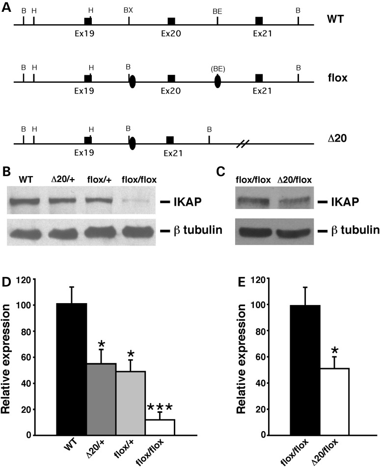 Figure 1.