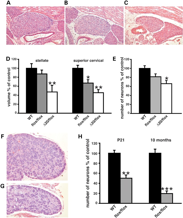 Figure 4.