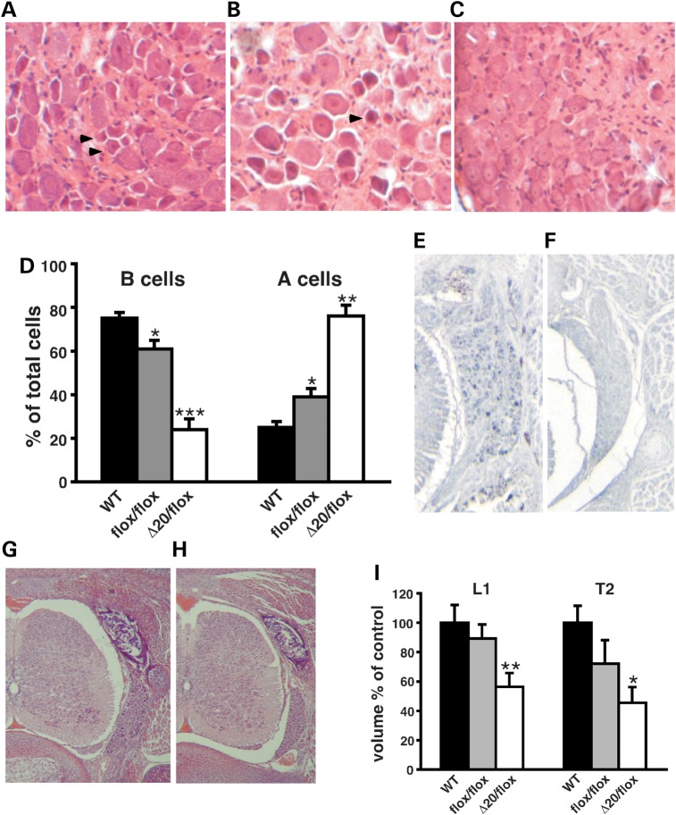 Figure 3.