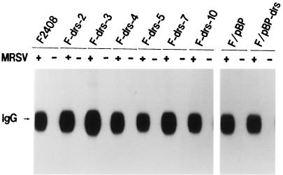 FIG. 6