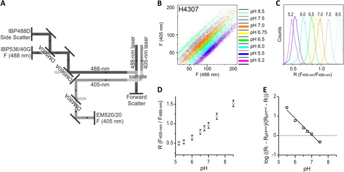 Fig 1