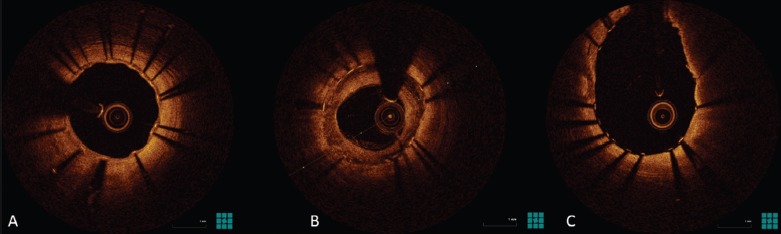 Figure 2: