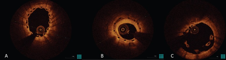 Figure 3: