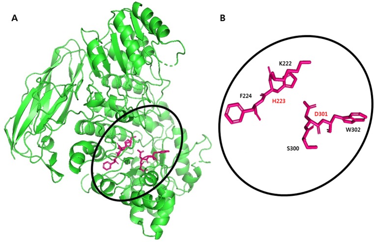 Figure 2