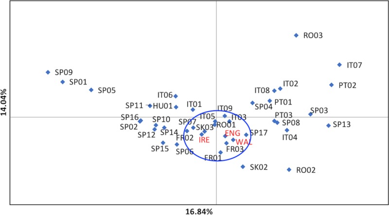 Fig 11