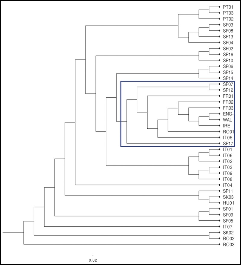 Fig 9