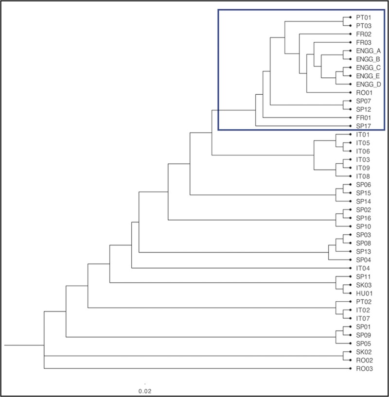 Fig 10