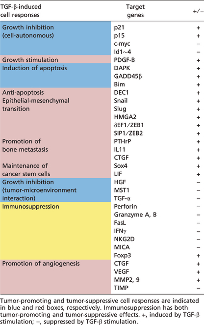 graphic file with name CAS-101-306-g005.jpg