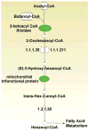 Fig. (2)
