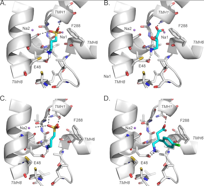 FIGURE 4.