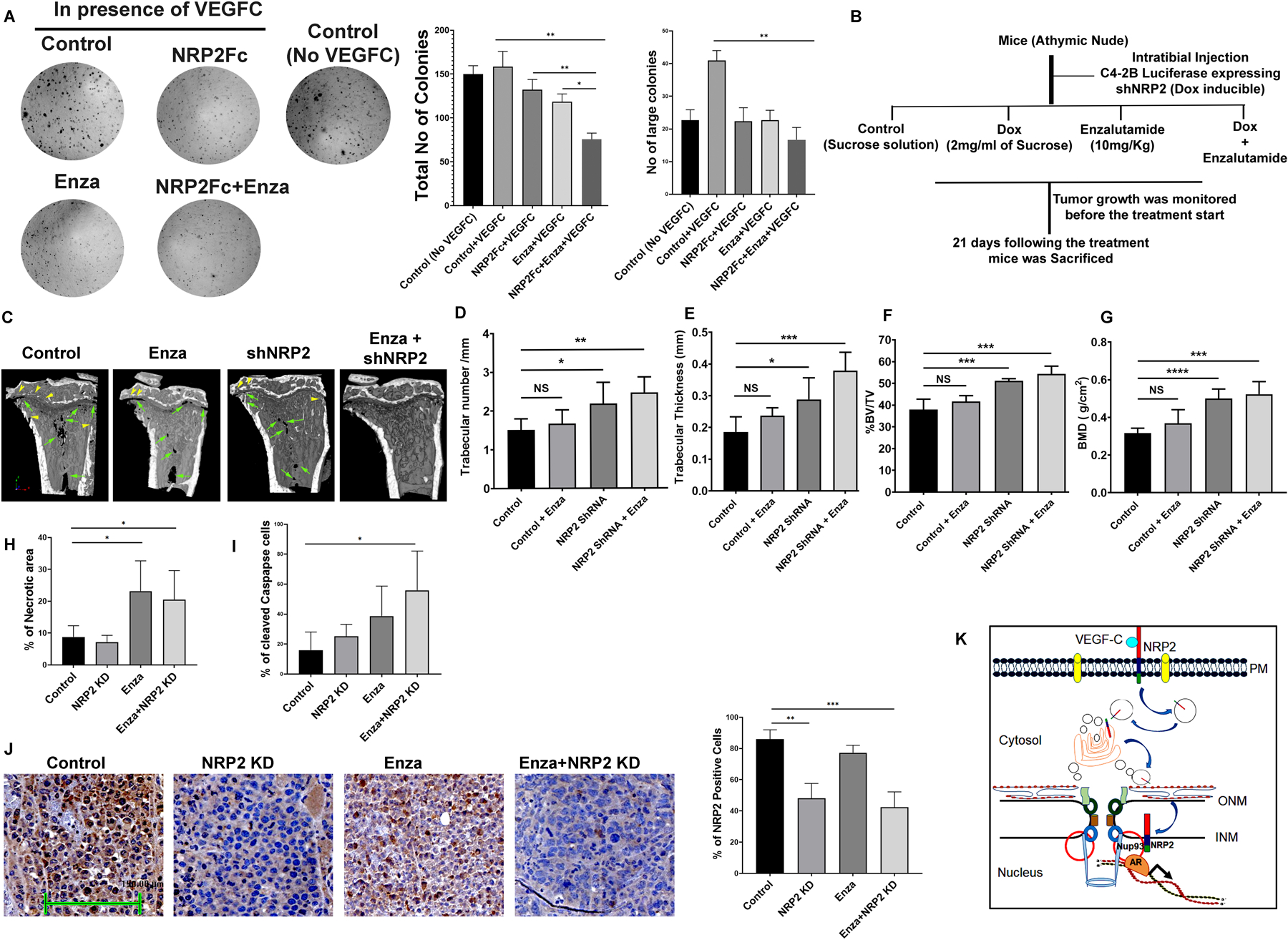 Fig. 7: