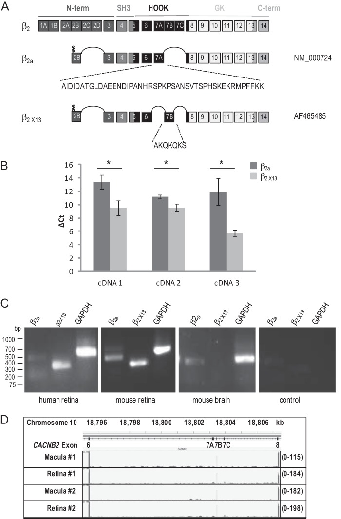 FIGURE 1.