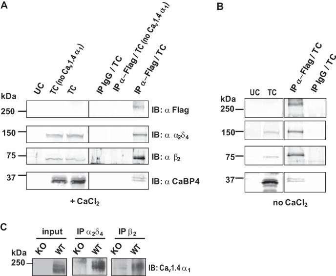 FIGURE 5.