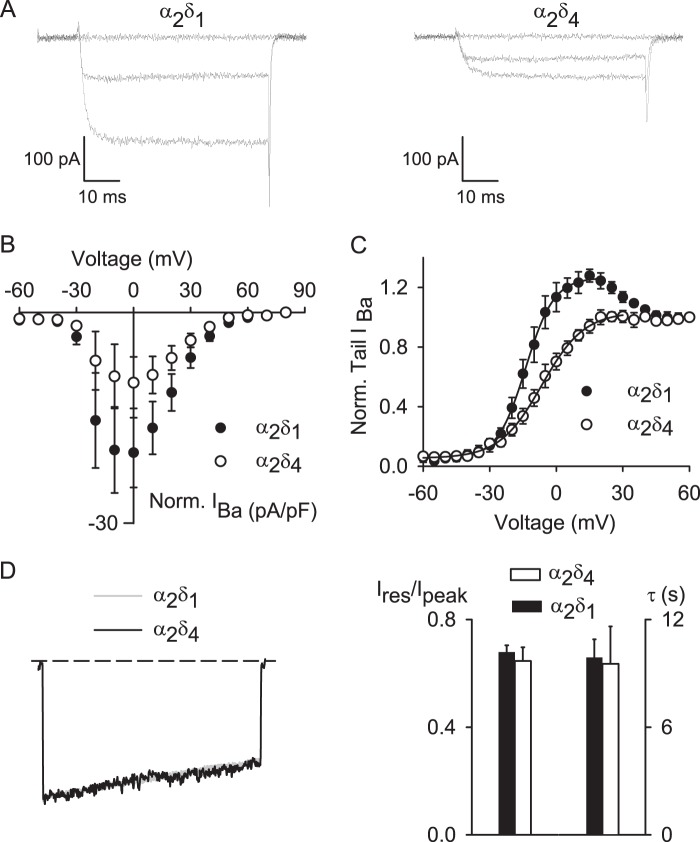 FIGURE 7.