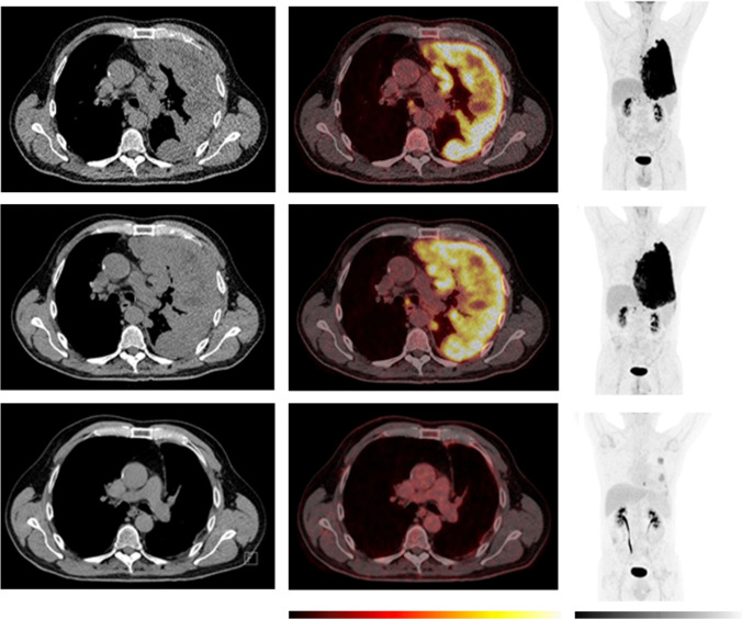 Fig. 8