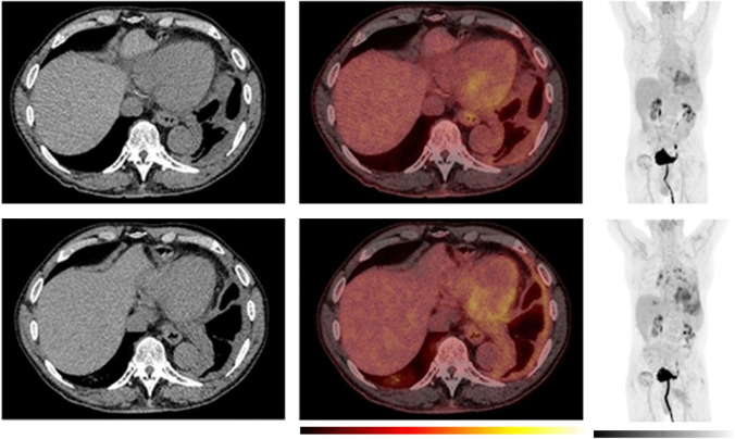 Fig. 7