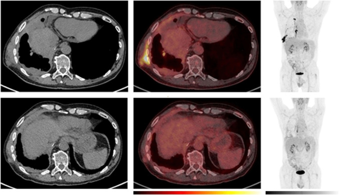 Fig. 6
