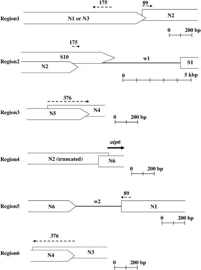 Figure 5.—