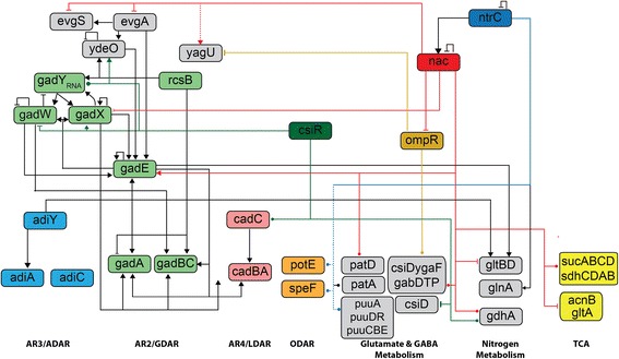 Fig. 2