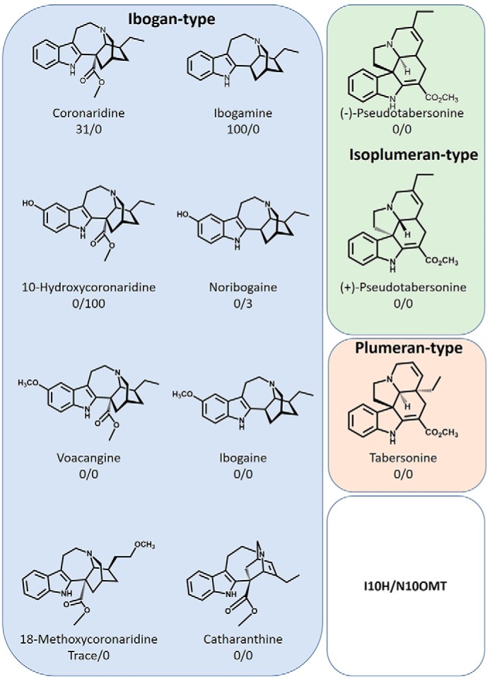 Figure 6.